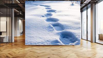 Human footprints in the snow in a snowdrift under sunlight close-up,Fresh footsteps, footprints, shoe prints or shoe marks in the shallow snow,glittering,sparkling in the winter sun,copy space. Wall mural