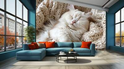 white persian cat sleeping on beige knitted woolen chunky blanket. Funny kitty in the warm soft bed,top view concept. Wall mural