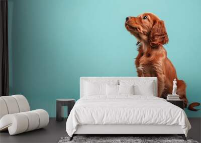 A cute Irish Setter puppy sitting on a solid pastel background with space above for text Wall mural