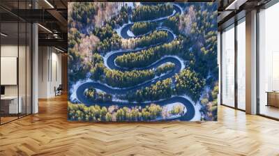 curved road trough the forest Wall mural