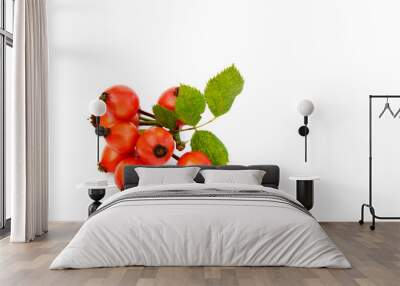 Amazing Health Benefits Of Rose Hips.
Rose hips with leaf on white background. Wall mural