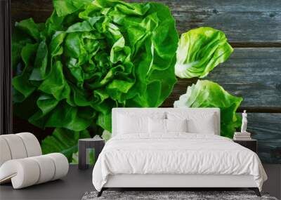 colorful and fresh of Butterhead lettuce with shadow on wooden background. Wall mural