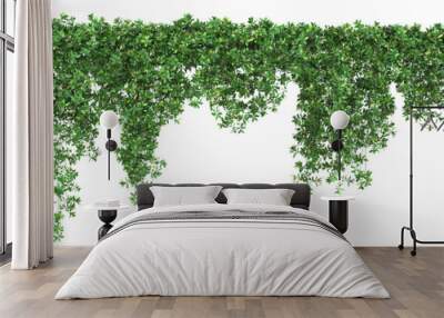 A trail of realistic ivy leaves or Ivy green with leaf. Png transparency Wall mural