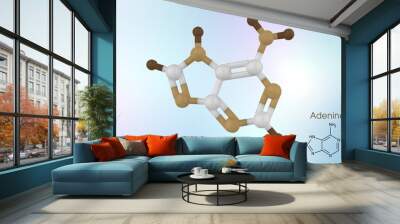 Adenine is a nucleobase, a purine derivative. It is one of the four nucleobases in the nucleic acid of DNA. 3d illustration of adenine atom Wall mural