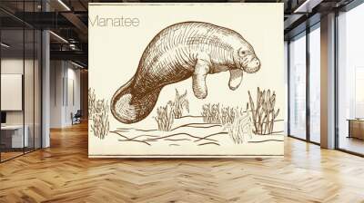 Manatee water animal sketch vector illustration. Manatee or sea cow. Hand drawn.  Wall mural