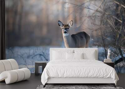 A white-tailed deer stands in a snowy forest, looking directly at the camera. Wall mural