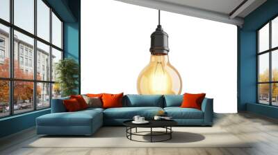 A hanging light bulb isolated on transparent background Wall mural