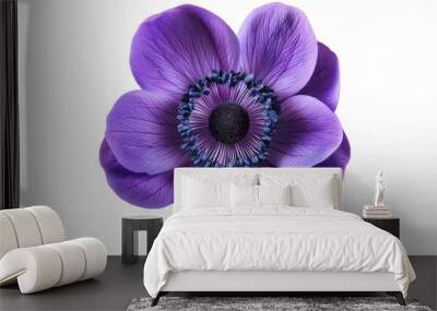 Anemone purple flower isolated on transparent background Wall mural