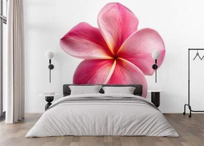 Pink frangipani flower isolated on transparent background Wall mural