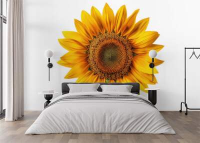 Russian sunflower isolated on transparent background Wall mural