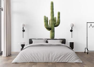 Saguaro cactus isolated on transparent background Wall mural