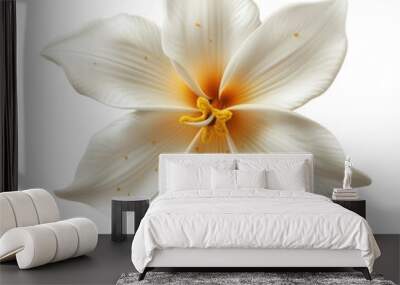 White vanilla flower isolated on transparent background Wall mural