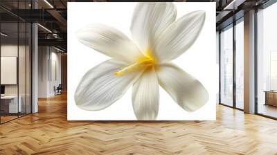 white vanilla flower isolated on transparent background Wall mural