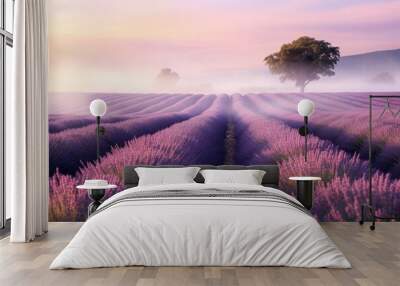 Rows of aromatic lavender flowers in full bloom beneath pastel dawn skies. Peaceful rural scene with trees and morning mist. Wall mural