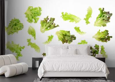 Fresh green red lettuce leaves isolated on transparent background. PNG Wall mural