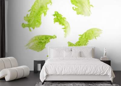 Fresh salad green lettuce leaves falling in the air isolated on transparent background. PNG Wall mural