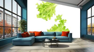 Fresh salad green lettuce leaves falling in the air isolated on transparent background. PNG Wall mural