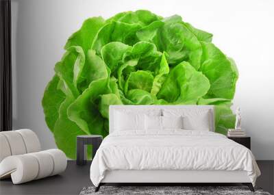 Green butterhead lettuce isolated on transparent background. PNG Wall mural