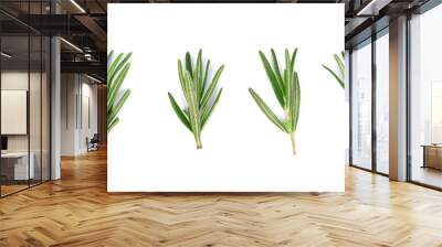 Rosemary leaves isolated on white background. Top view Wall mural