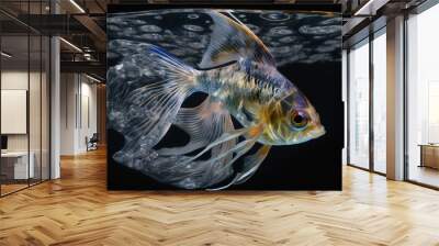 silver fish in aquarium on a dark background illustration Generative AI Wall mural