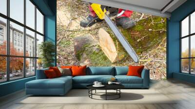 Chainsaw work. Sawing a tree with a chainsaw. Wall mural