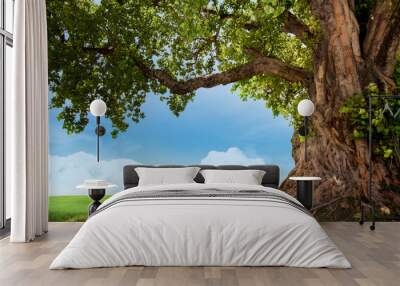 pring meadow with big tree with fresh green leaves Wall mural