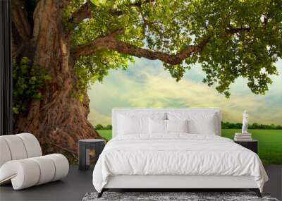 spring meadow with big tree with fresh green leaves Wall mural