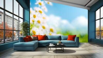 Field of daisy flowers in springtime Wall mural