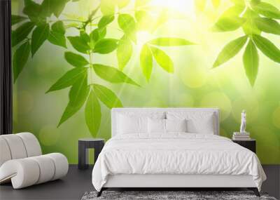 fresh and green leaves Wall mural