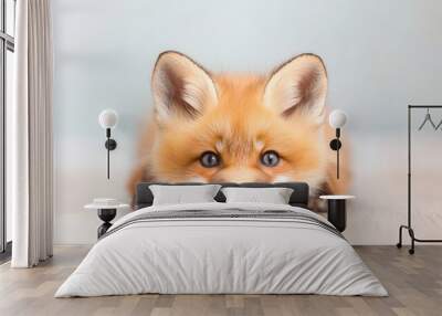 A cute, curious fox lying on the floor with captivating blue eyes and a fluffy orange coat Wall mural