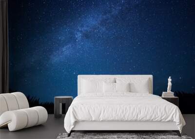 Blue dark night sky with many stars above field of trees. Milkyw Wall mural