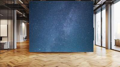 blue dark night sky with stars above field of trees. Wall mural