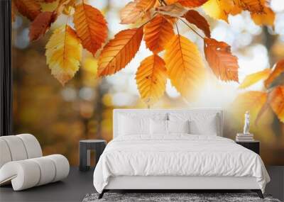 Bright autumn leaves captured against a warm golden sunlight backdrop, showcasing the beauty of nature's seasonal change. Wall mural