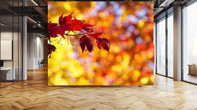 Autumn blur Wall mural