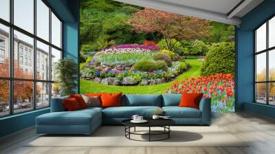 Field of tulips in the sping garden Wall mural