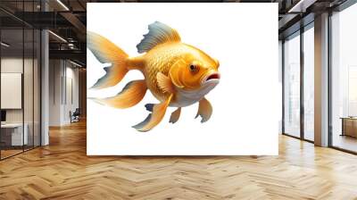 gold fish isolated on white background png Wall mural