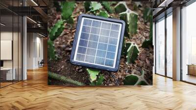 Solar panel on cactus field background Wall mural