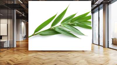 Bright green bamboo leaf, sleek and pointed, isolated on a white background, minimal and modern nature Wall mural