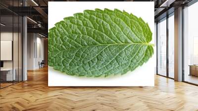 Bright green mint leaf, crisp edges, and fine veins, isolated on a white background, fresh and vibrant nature Wall mural