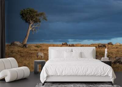 Beautiful landscapes during great migration season in Maasai Mara triangle  Wall mural