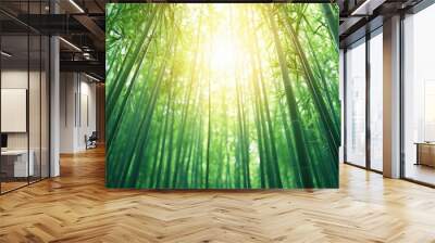 A serene bamboo forest illuminated by sunlight, depicting the beauty of nature and tranquility. The tall bamboo stalks create a vibrant green atmosphere. Wall mural