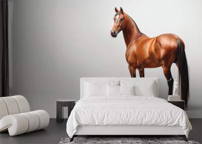 A studio shot of a beautiful brown horse on a white background Wall mural