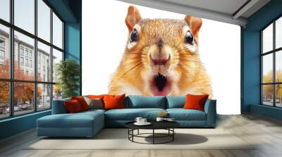 This is the most excited squirrel you will ever see. He is so excited that he is about to jump out of his fur.transparent background. Wall mural