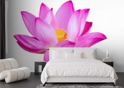 Pink lotus isolated on white background Wall mural