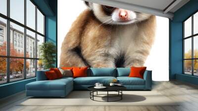 Watercolor painting of a cute quokka Slow Loris (Nycticebus). Wall mural