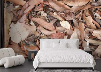 dry leaf texture background in nature Wall mural