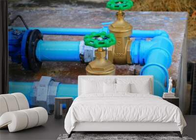 water valve plumbing joint  steel tap pipe with green knob close up Wall mural