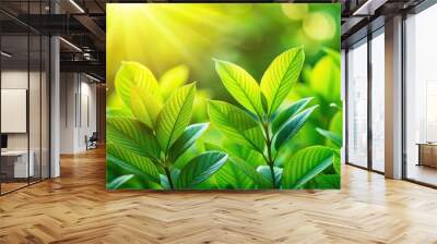 Close-up of vibrant lush green leaves in a natural setting with sunlight filtering through Wall mural