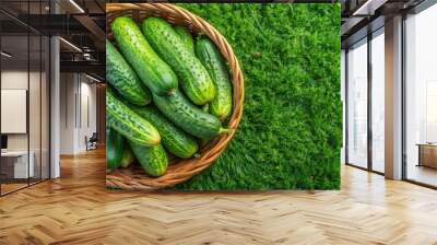 Fresh cucumbers in a basket on green lawn, top view of organic produce Wall mural