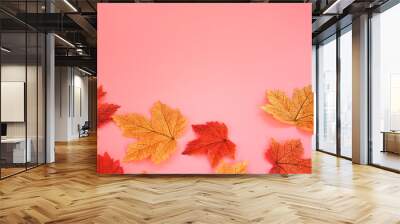 Automne background with  colorful of autumn ' s leaves  on  pink background and space for write text , decorate  or inviting halloween concept. Wall mural